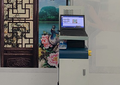 Spoor Epson dx-10 Printer van Inkjet van de Pijp de Directe Muur